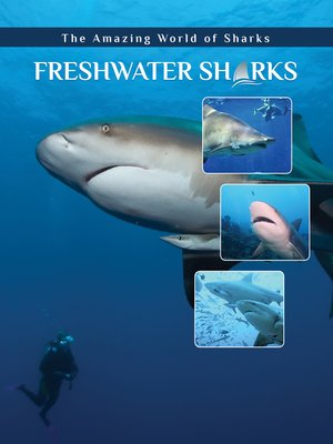 cover image of Freshwater Sharks